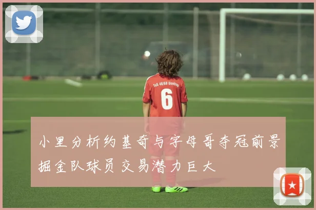小里分析约基奇与字母哥夺冠前景掘金队球员交易潜力巨大
